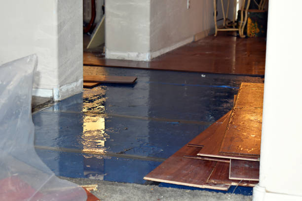 Professional Water Damage Restoration technician working in Levittown, NY